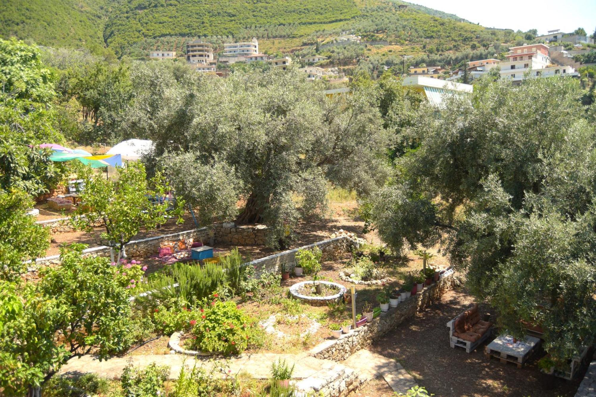 Vila Toskaj Vlore Bagian luar foto